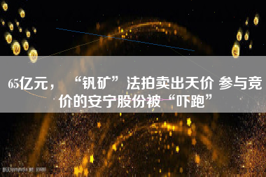 65亿元， “钒矿”法拍卖出天价 参与竞价的安宁股份被“吓跑”