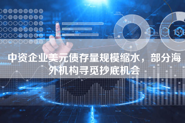中资企业美元债存量规模缩水，部分海外机构寻觅抄底机会