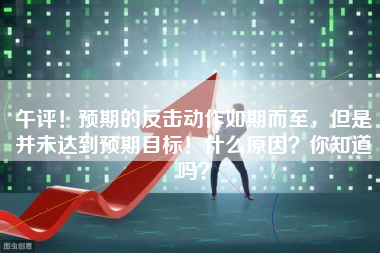 午评！预期的反击动作如期而至，但是并未达到预期目标！什么原因？你知道吗？