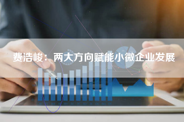 费浩峻：两大方向赋能小微企业发展
