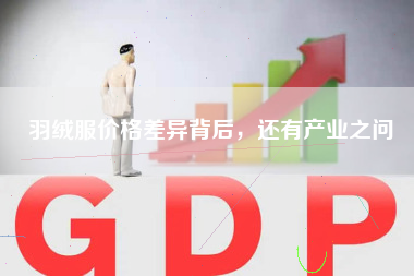 羽绒服价格差异背后，还有产业之问