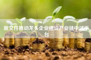 新文件推动龙头企业建设产业链中试平台