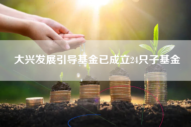 大兴发展引导基金已成立24只子基金