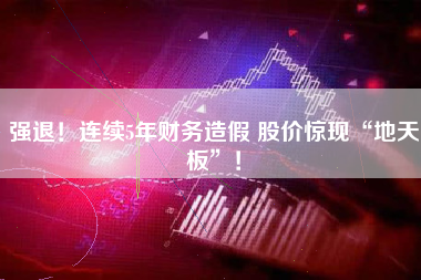 强退！连续5年财务造假 股价惊现“地天板”！
