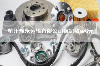 杭州豫永运输有限公司被罚款6695元